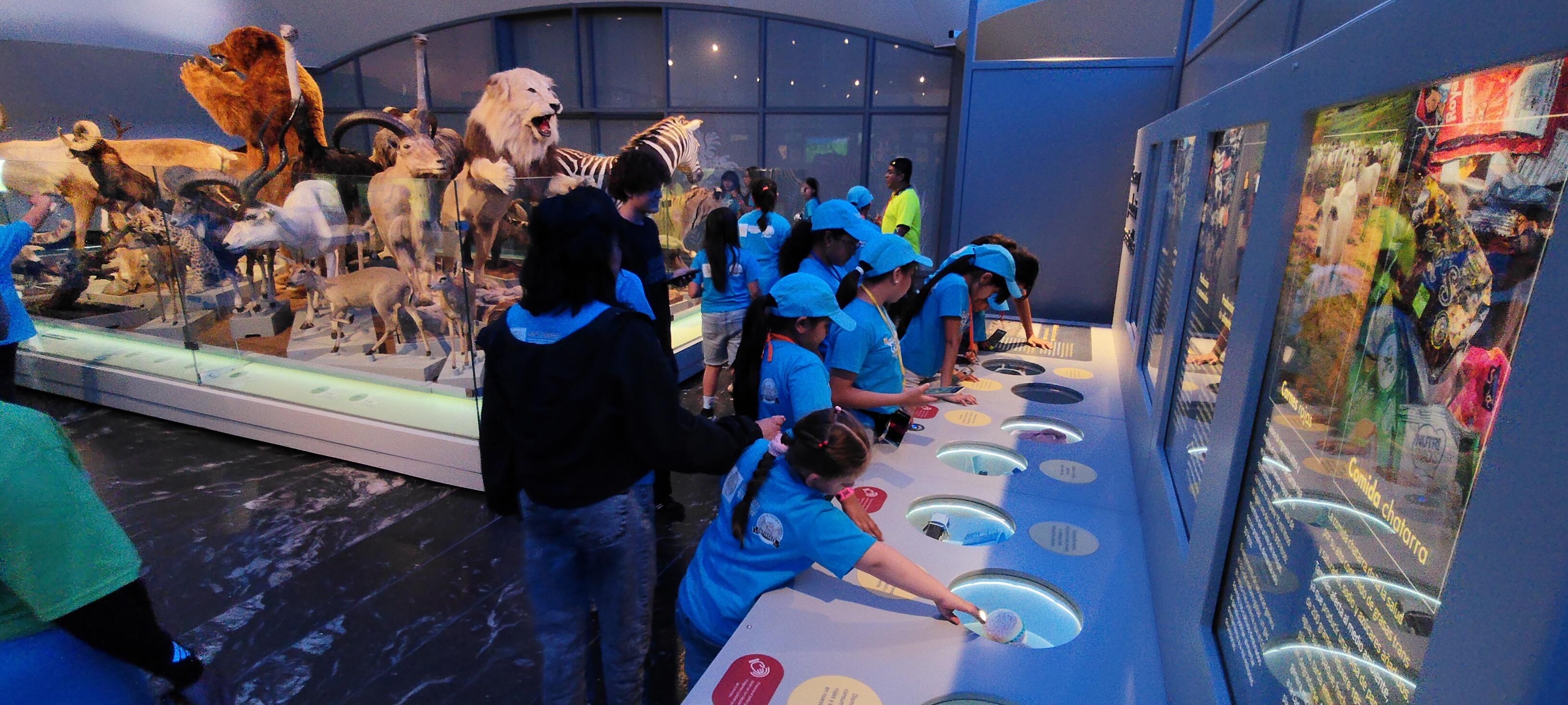 Curso de verano SNTISSSTE, Visita al Museo de Historia Natural